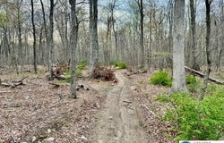 9170 N Loop Road, SLATINGTON, PA 18080