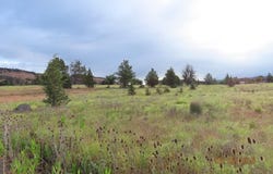 U-5 Lot 36 Desavado, Montague, CA 96064
