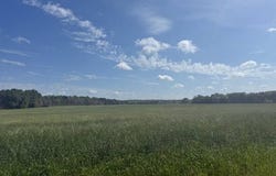 20411 US Highway 80, Shorter, AL 36075