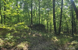 Hoke Road, Heath Springs, SC 29058