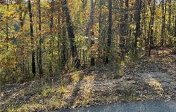 Allison Drive lot: 7, McCalla, AL 35111