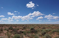 8937 W Willauer Lane, Winslow, AZ 86047