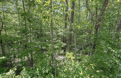 0 Off Madison 401, Fredericktown, MO 63645