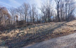 TBD OVERLOOK MOUNTAIN RD, ELKTON, VA 22827