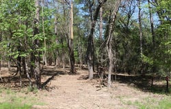 145 Crossed Arrows Road, Grapeland, TX 75844