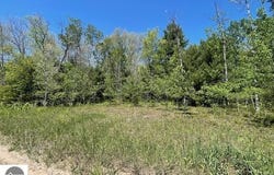Aylsworth Road, Beulah, MI 49617