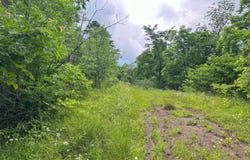 0 Haught Run Rd (Rear), New Matamoras, OH 45767
