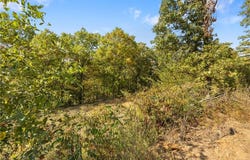 Lot 24 Peaceful  PL, Harrison, AR 72601