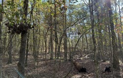1235 EDGE Lane, Tignall, GA 30668