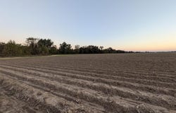 AR 35 Highway, Halley, AR 71638