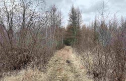 00 COUNTY ROAD J, Wausau, WI 54403