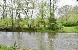239 Unit A Mint Springs Road, New Market, AL 35761
