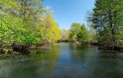 Harwood Rd, Oil Trough, AR 72564