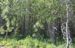 NKA N Sylvan Rd, Athol, ID 83801