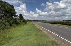 0 Hwy 584, Rayville, LA 71269