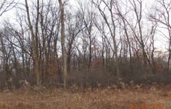 1110 S Lafayette Avenue, Griffith, IN 46319