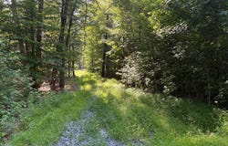 23 TAYLOR ROAD, LOUISA, VA 23093