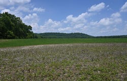 0 Hartford Pike, Aurora, IN 47001