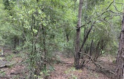 212TH TERR, OBrien, FL 32071