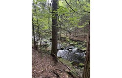 7 Bog Brook Loop, West Paris, ME 04289