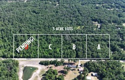 Par D W Almy Road, Howard City, MI 49329
