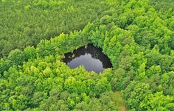 3111 Old Nc 75, Stem, NC 27581