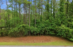 199 Live Oak Lane, Washington, NC 27889