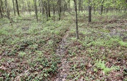 N Magruder Road, Coleman, MI 48618
