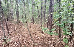N 5TH Street, Macclenny, FL 32063
