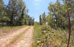 Roughleaf Road, Wright City, OK 74766