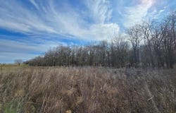 Fm 904 S-es County Line Road, Pecan Gap, TX 75469