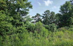 0 Greers Ferry Road, Greers Ferry, AR 72067