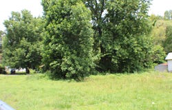 2456 RAY BLUFF Rd, Unincorporated, TN 38053