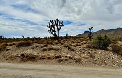 319-13-356 Kingman Drive, Dolan Springs, AZ 86441