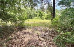 OBrien, FL 32071