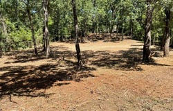 65 Alta Vista, Malakoff, TX 75148