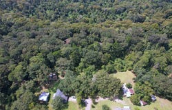 Donald St, Denham Springs, LA 70726