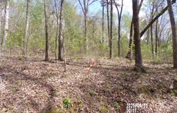 4.00 Creekview Drive, Rainbow City, AL 35906