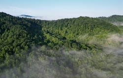 0 Upper Raccoon Creek Road, London, KY 40741