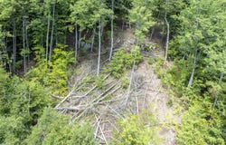 TBD Arbor Lane, Duxbury, VT 05660
