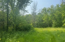 3920 Tomahawk Trail, Medina, MN 55340