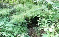 Lot 17 Farm Loop Road, Banner Elk, NC 28604
