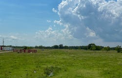 FM 686, Dayton, TX 77535