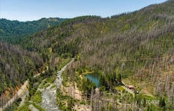 2103 Coffee Creek Rd, Coffee Creek, CA 96091