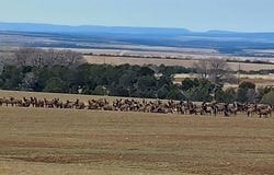 11410 Road 12 Road, Cahone, CO 81320