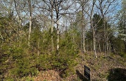 10407 Lake Crest Drive, Hillsboro, MO 63050