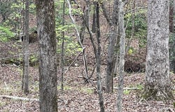 2390 Baron Dekalb Road, Camden, SC 29020