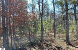 Site 10 Lumberjack Court, Grayling, MI 49738-1063