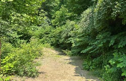 450 Ky Hwy 542, Jackson, KY 41339