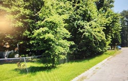 0 Stanford Street, Columbia, SC 29203